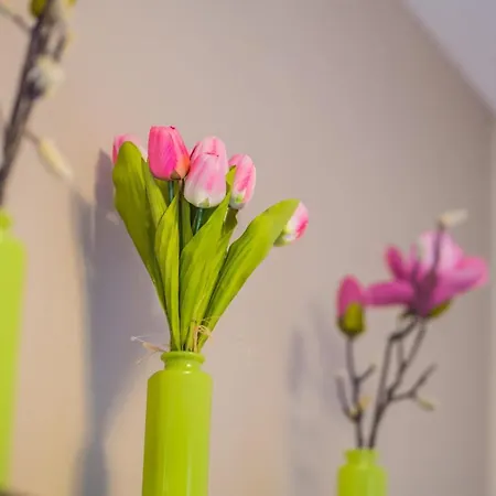 Myflat Solaris Family Apartment *