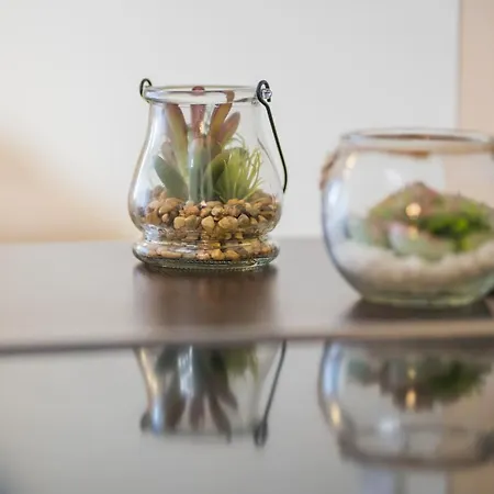 Apartment Myflat Solaris Family