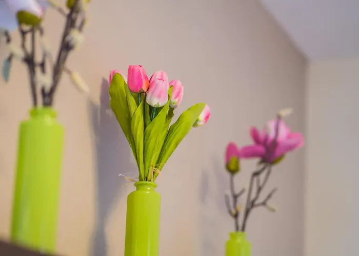 Myflat Solaris Family Lejlighed *