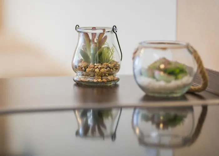 Lejlighed Myflat Solaris Family