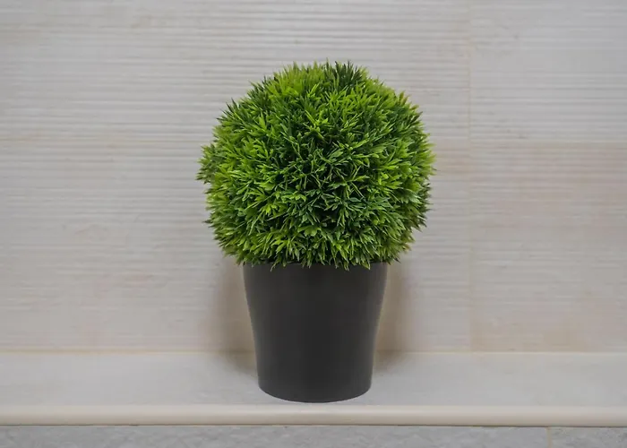 Lejlighed Myflat Solaris Family Siófok